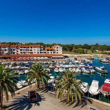 Rona Zrinka פורץ